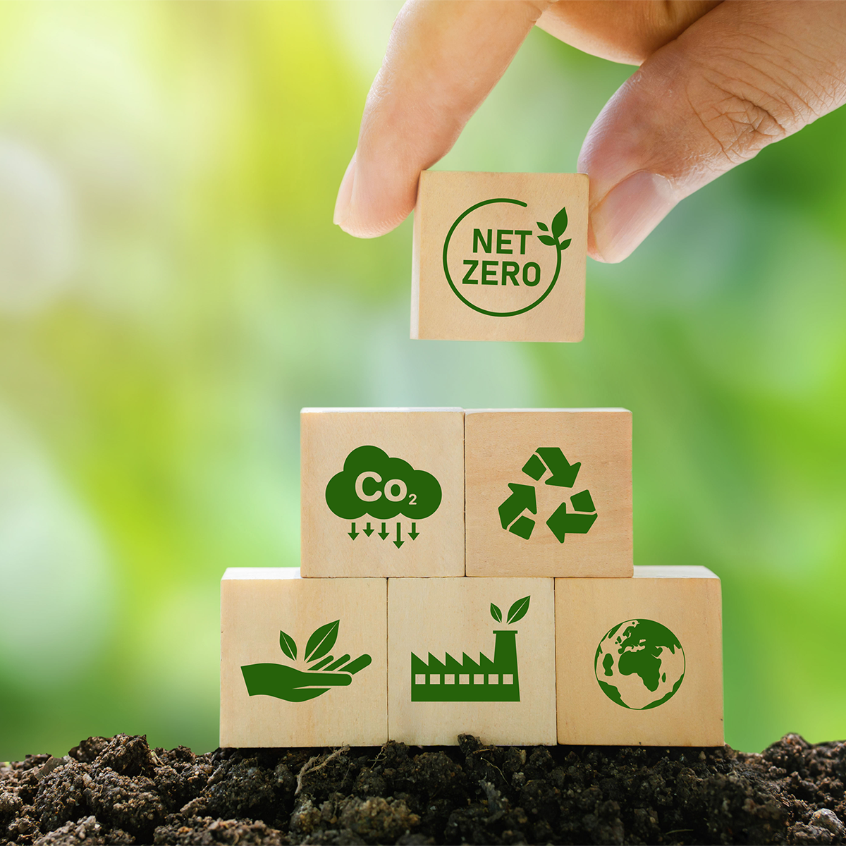 Our Response to Climate Change