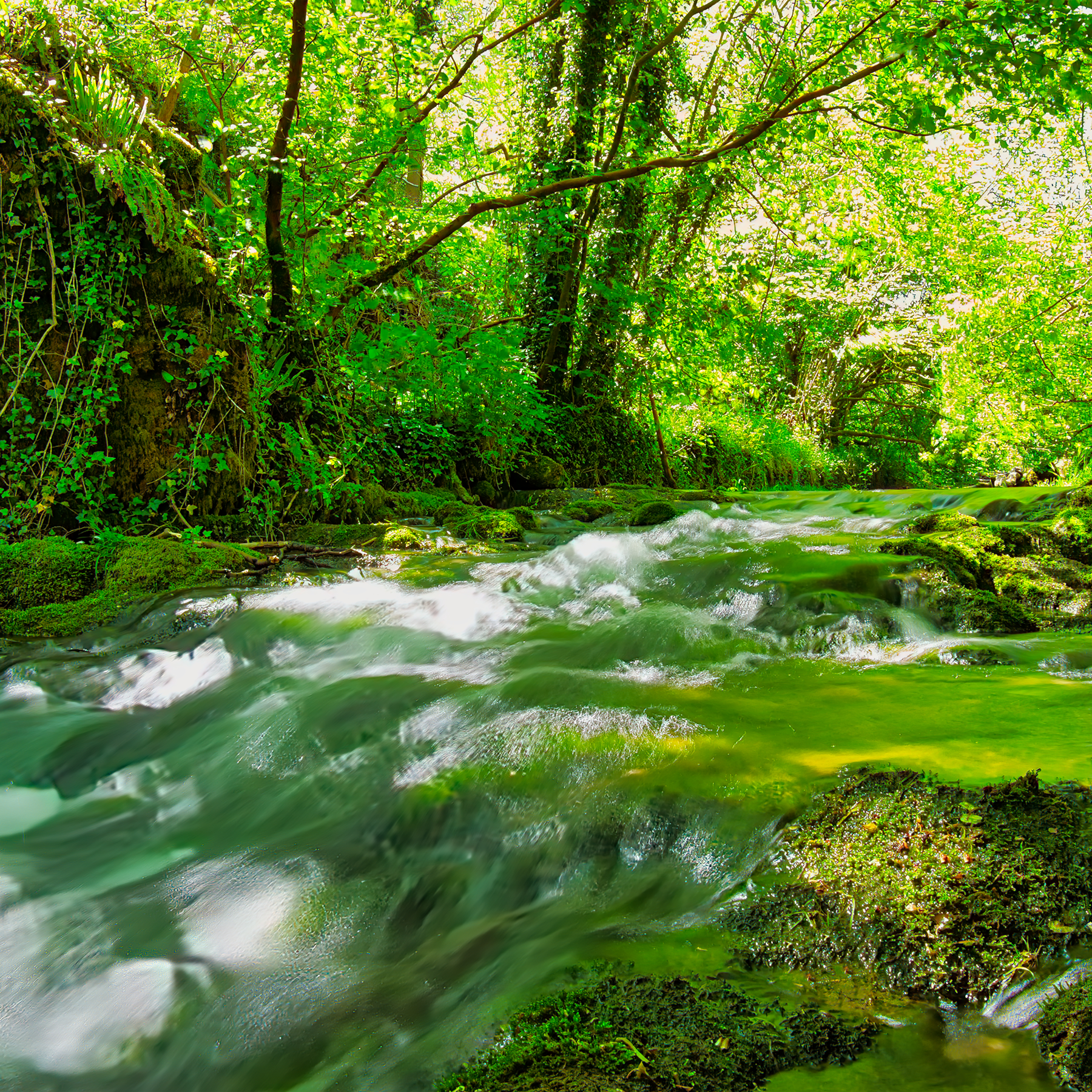 E - Environment