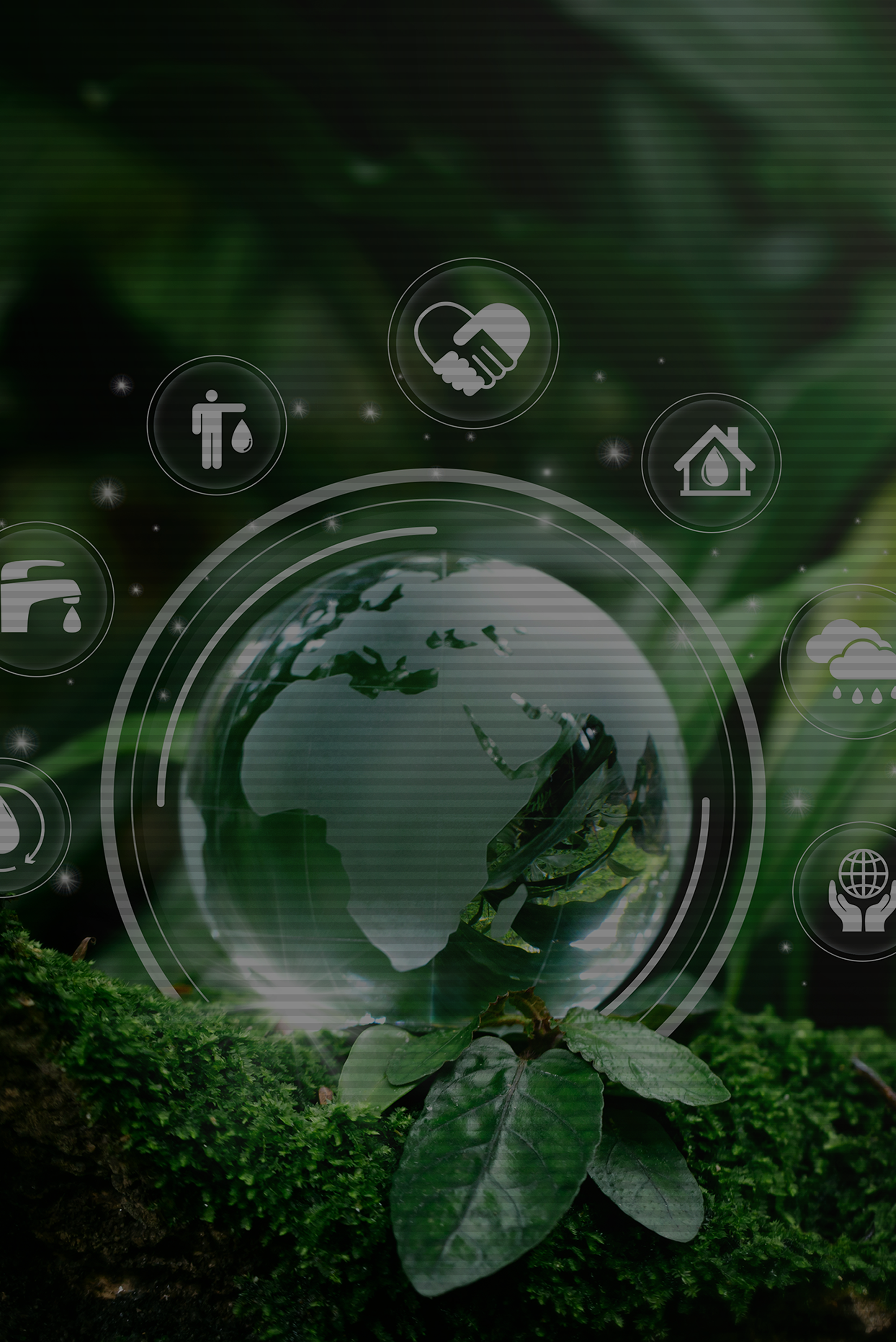 Sustainability of Takuwa