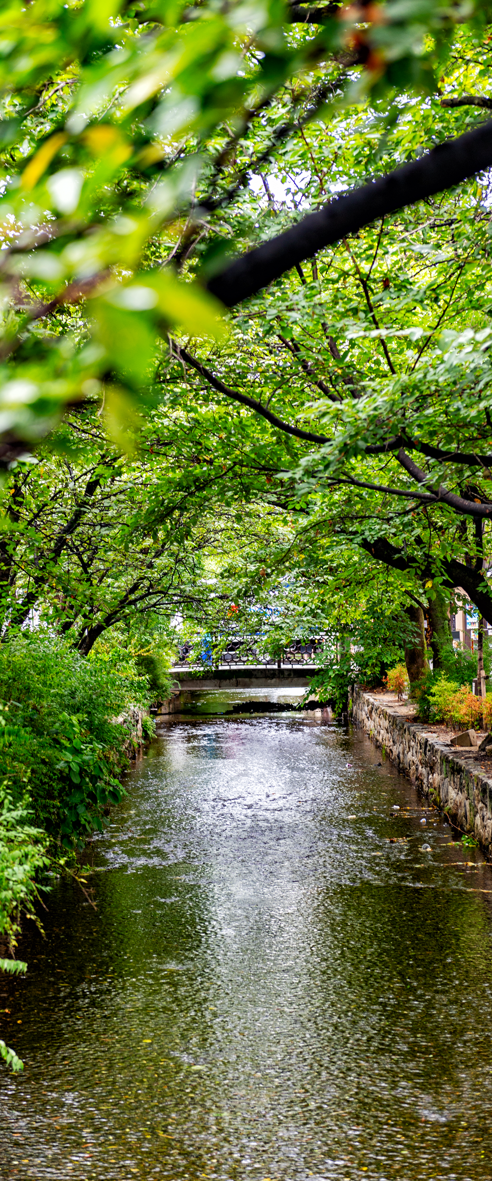 Aiming to Return to an Altruistic Relationship between People and Water